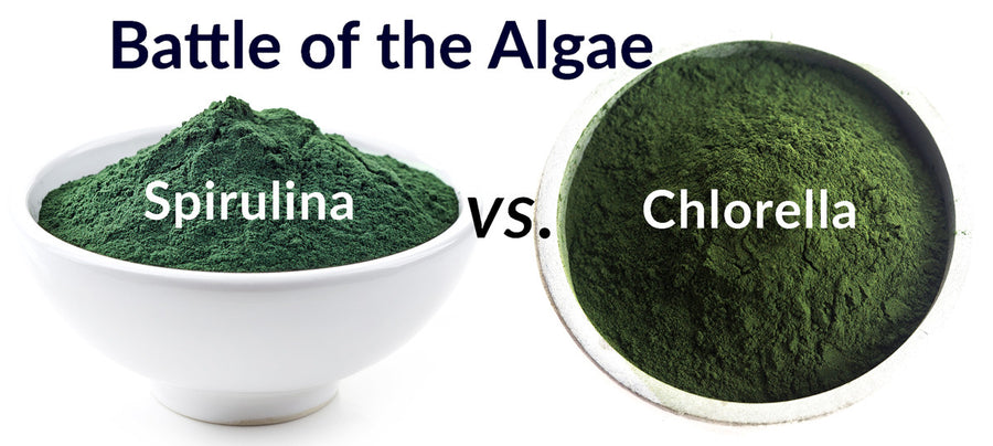 POP Issue #5: Battle of the Algaes - Spirulina vs. Chlorella