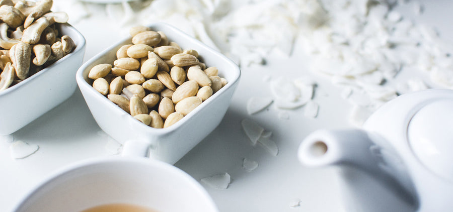 Power of Plants Issue #6: Plant Protein Basics