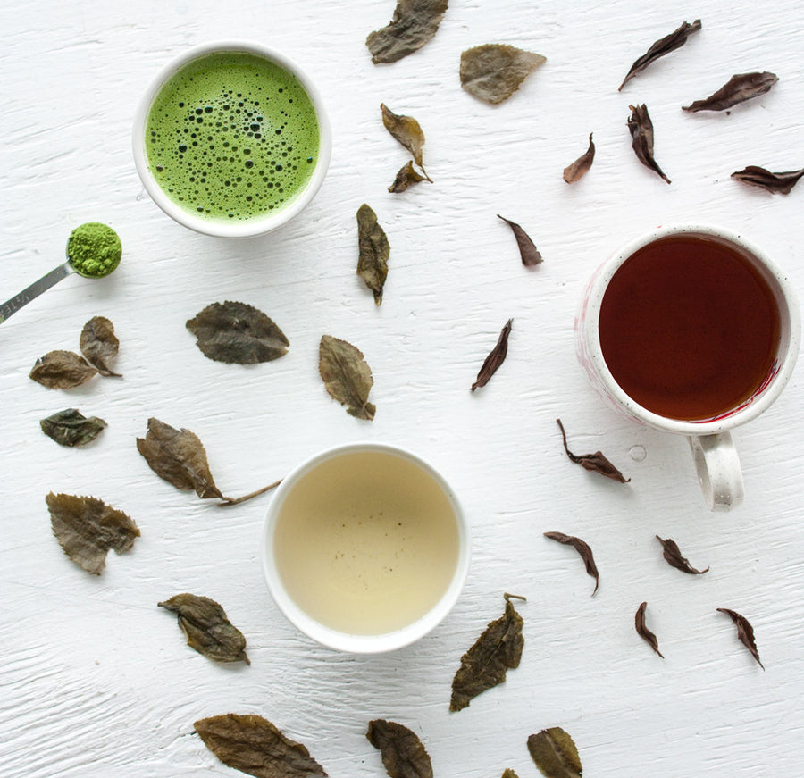 The Power of Plants Issue 1: The Tea Plant