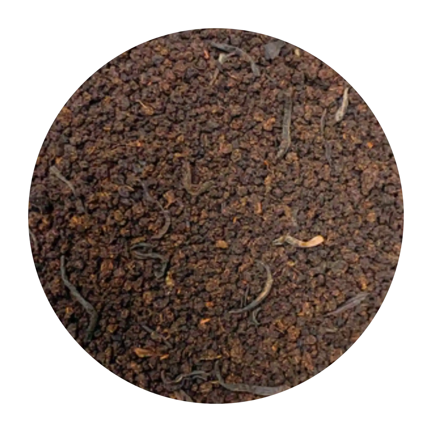 Bond Breakfast Matinée Corsée