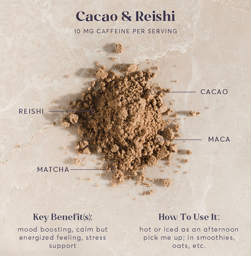 Cacao & Reishi 1 lb bulk bag | mood boosting matcha hot cacao blend