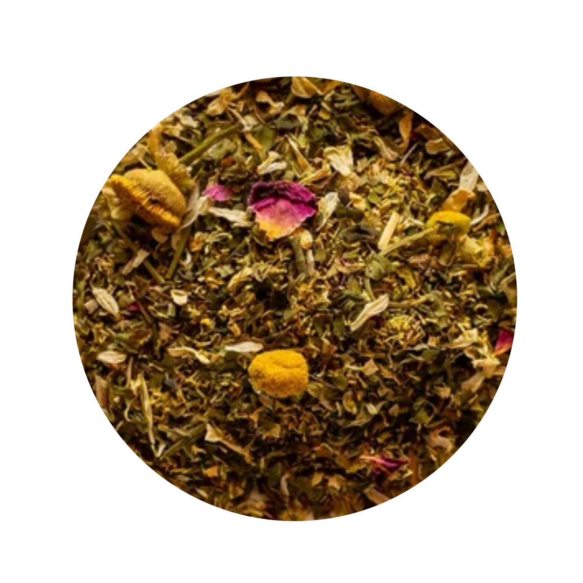 Lemon Mango Punch Sampler