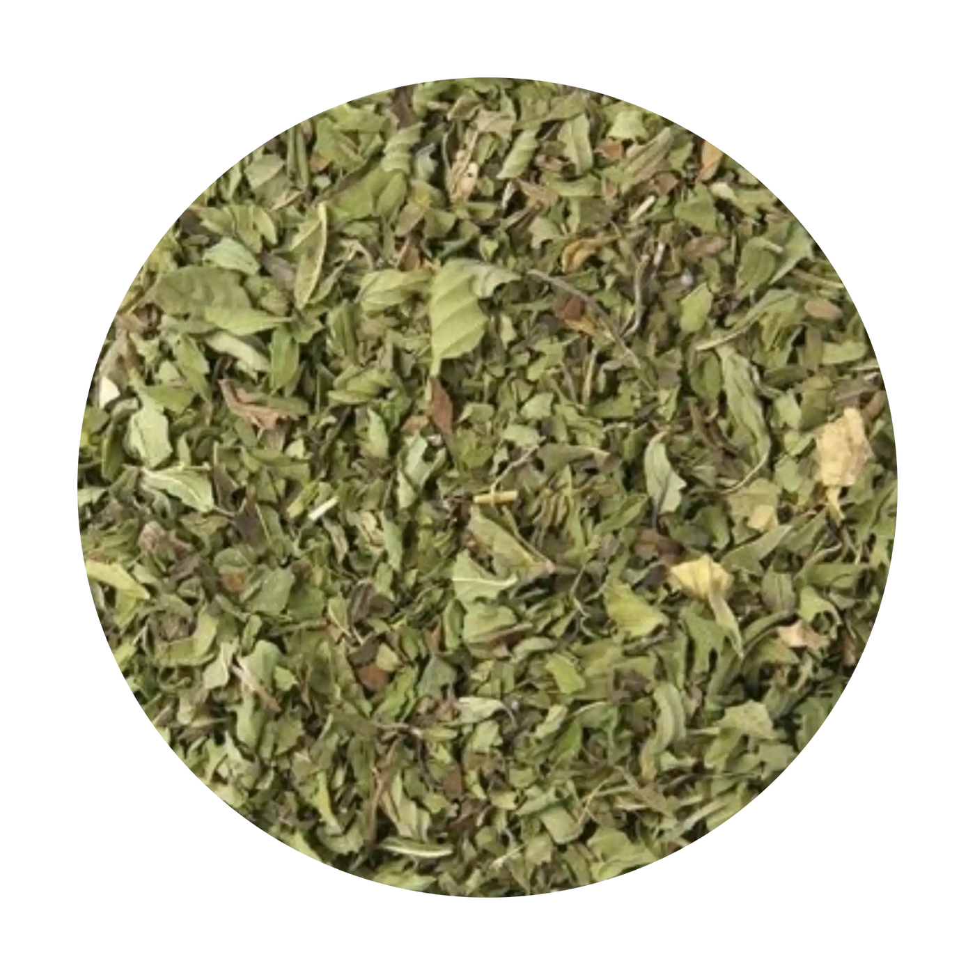 Peppermint Willamette