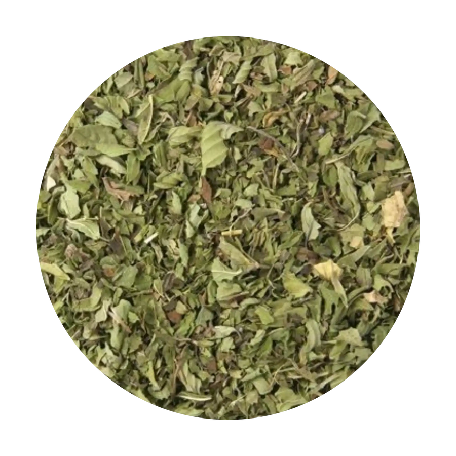 Peppermint Willamette