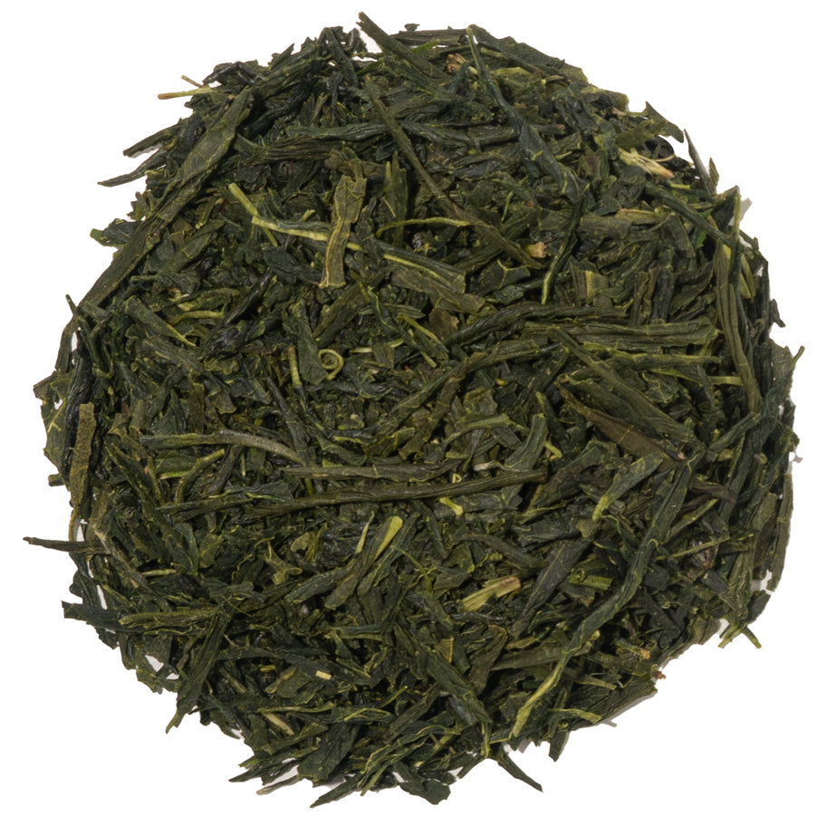 Sencha Green Tea Sampler